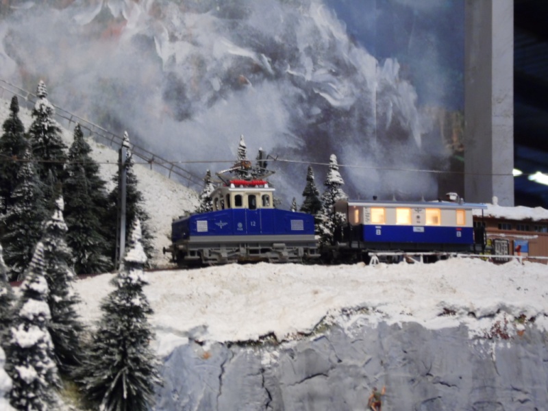 Rail Expo 2014 ; Les Amis du Rail FTM, + réseaux divers... Sam_0275