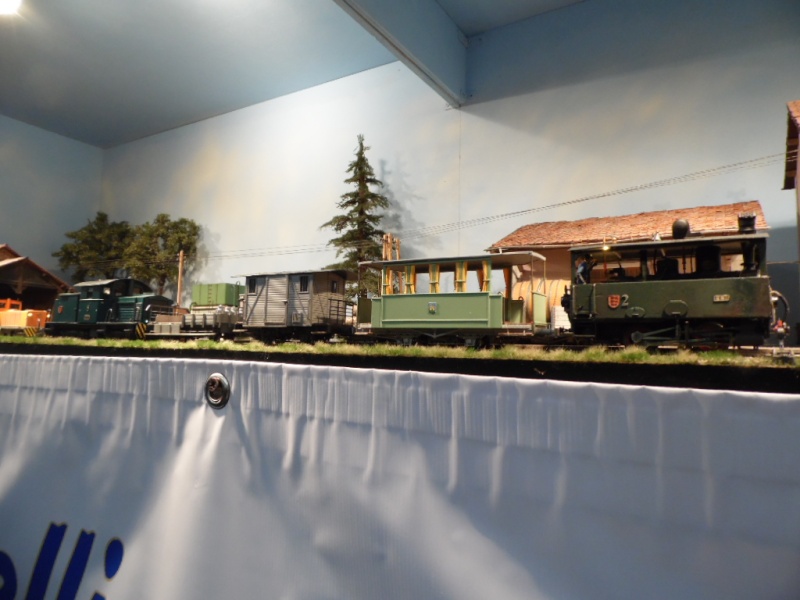 Rail Expo 2014 ; Les Amis du Rail FTM, + réseaux divers... Sam_0278