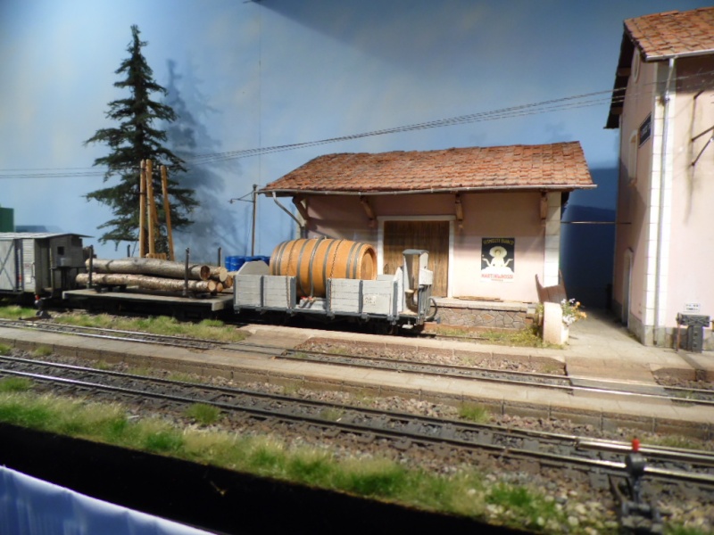 Rail Expo 2014 ; Les Amis du Rail FTM, + réseaux divers... Sam_0281