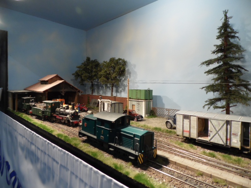 Rail Expo 2014 ; Les Amis du Rail FTM, + réseaux divers... Sam_0282