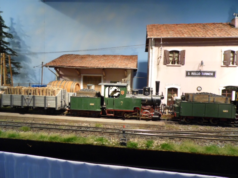 Rail Expo 2014 ; Les Amis du Rail FTM, + réseaux divers... Sam_0285