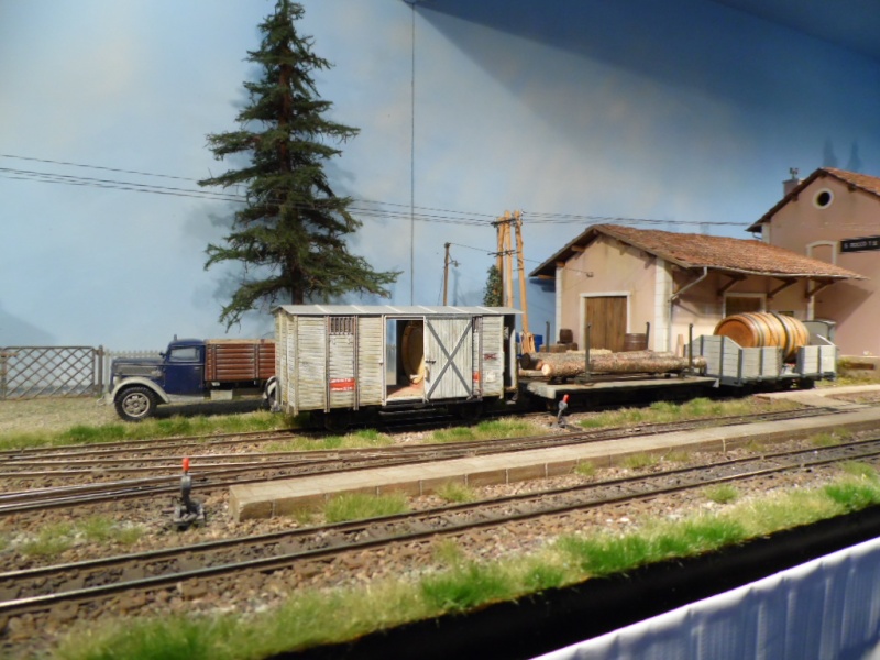 Rail Expo 2014 ; Les Amis du Rail FTM, + réseaux divers... Sam_0289
