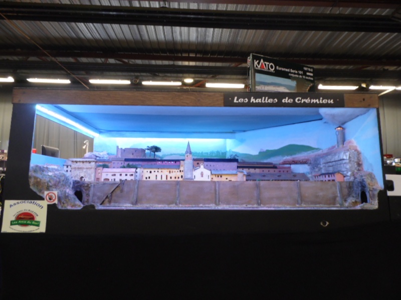 Rail Expo 2014 ; Les Amis du Rail FTM, + réseaux divers... Sam_0311