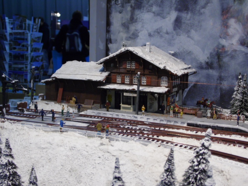 Rail Expo 2014 ; Les Amis du Rail FTM, + réseaux divers... Sam_0366