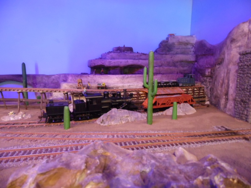 Rail Expo 2014 ; Les Amis du Rail FTM, + réseaux divers... Sam_0412