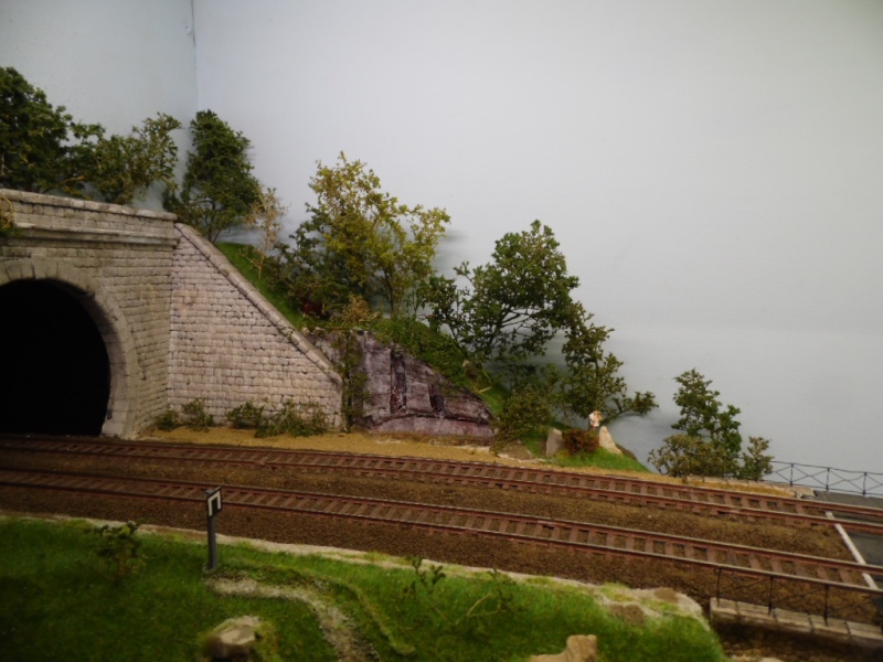 Rail Expo 2014 ; Les Amis du Rail FTM, + réseaux divers... Sam_0453