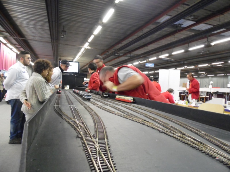 Rail Expo 2014 ; Les Amis du Rail FTM, + réseaux divers... Sam_0458