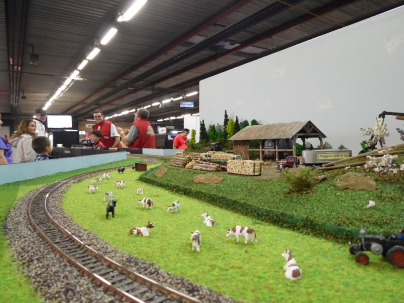 Rail Expo 2014 ; Les Amis du Rail FTM, + réseaux divers... Sam_0468