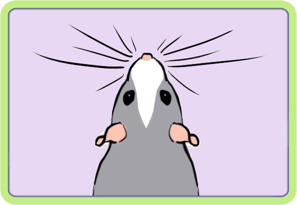 [GÉNÉTIQUE]  Marquages et dilutions du rat domestique Fleche10