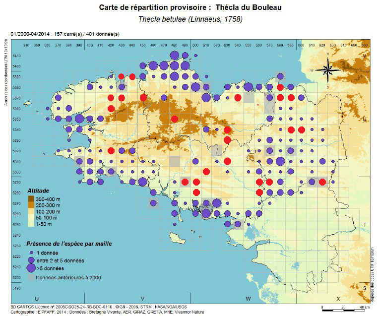 [Thecla du Bouleau (Thecla betulae)] Vive la Chasse ! ... aux œufs de Thecla betulae - Page 4 Thecla12