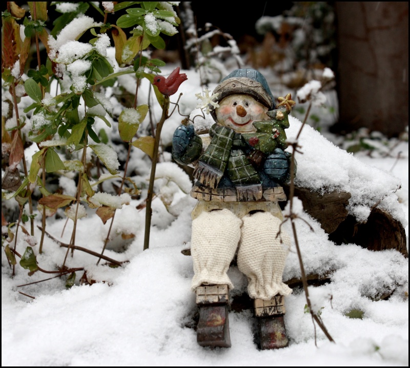 Les premiers flocons à Laval C_00410