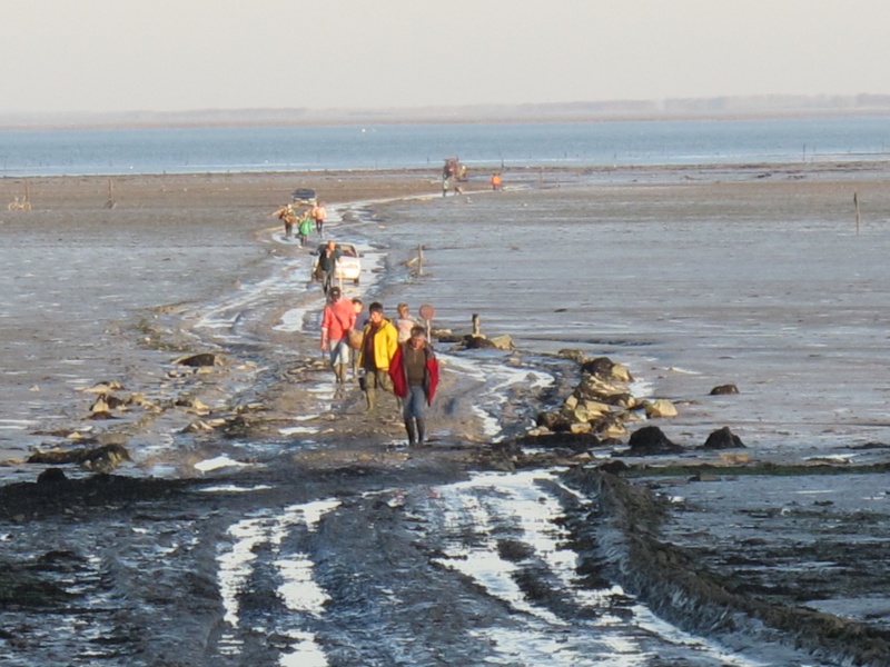 Retour de pêche à pied Bretag22