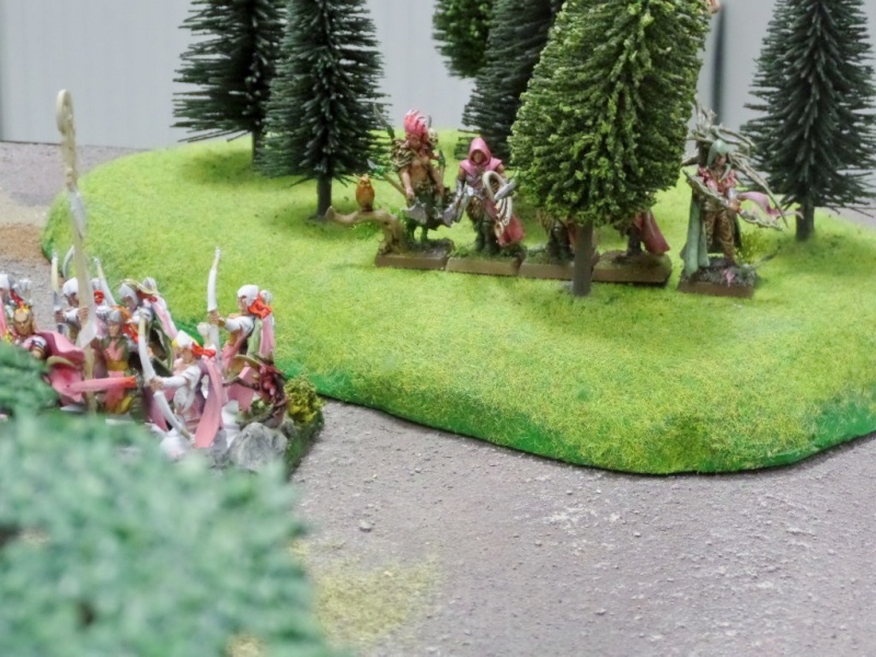 3000 pts - Full gobz vs Royaumes Ogres - Bash - Page 2 2310