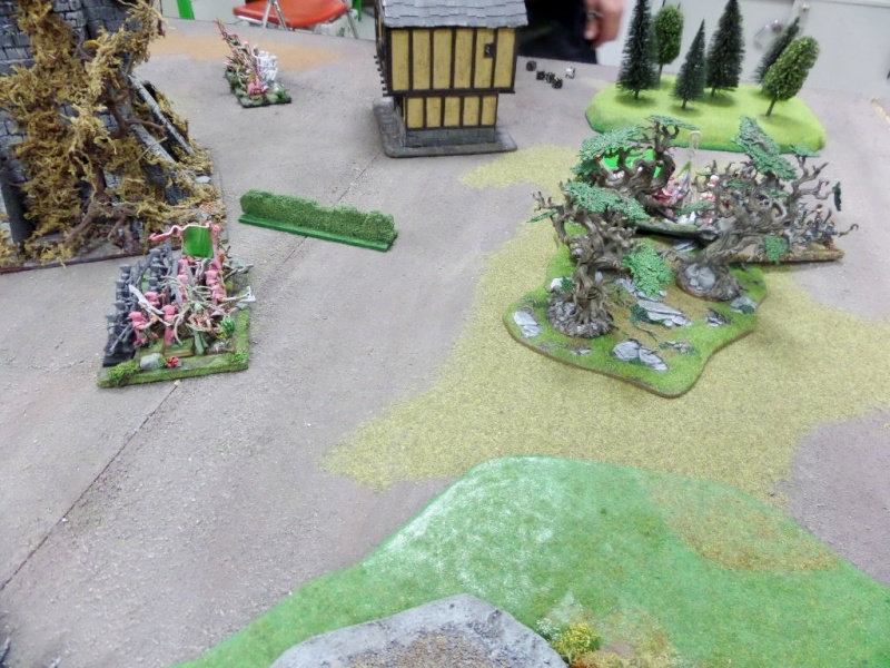 3000 pts - Full gobz vs Royaumes Ogres - Bash - Page 3 9310