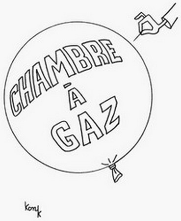  BELGIQUE :"Les chambres à gaz, c’est du bidon" : un élu belge exclu. Chambr10