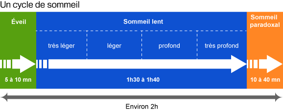 Mon dossier: le sommeil en questions Vurzjv10