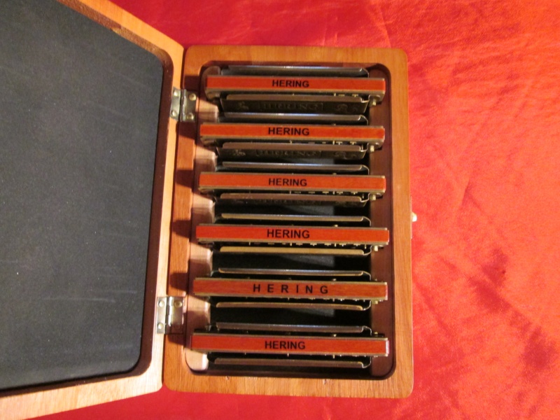 Vends set de 6 harmonicas accordés et ajustés dans un coffret en bois vernis Img_0811