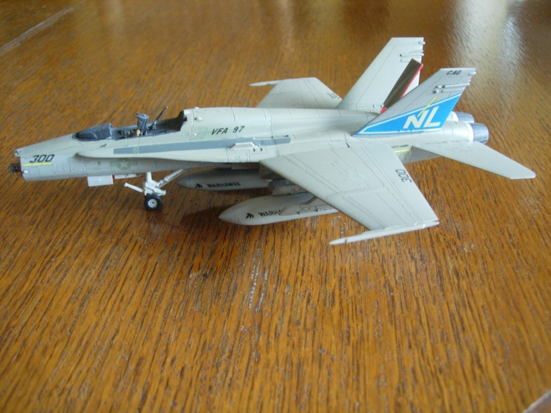F/A-18A Hornet - Fujimi - 1/72 - Page 3 Dscn0120