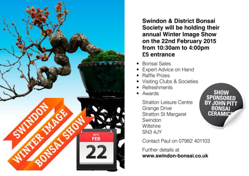 Swindon 'Winter Image' show 2015 Swindo13