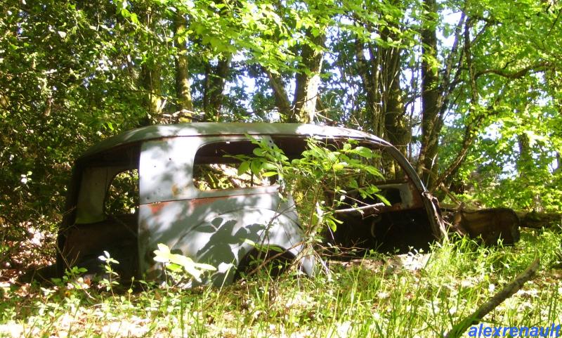nature - Les autos abandonnées et la nature qui reprend ses droits .... 102_7711