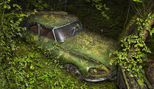 Les autos abandonnées et la nature qui reprend ses droits .... Parkin11
