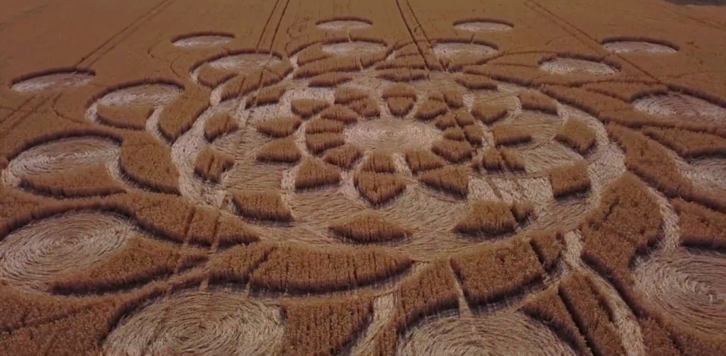 crop circles de 2018 Untitl48