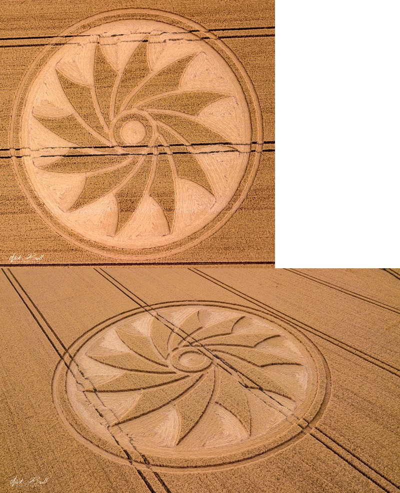 crop circles de 2018 Untitl51