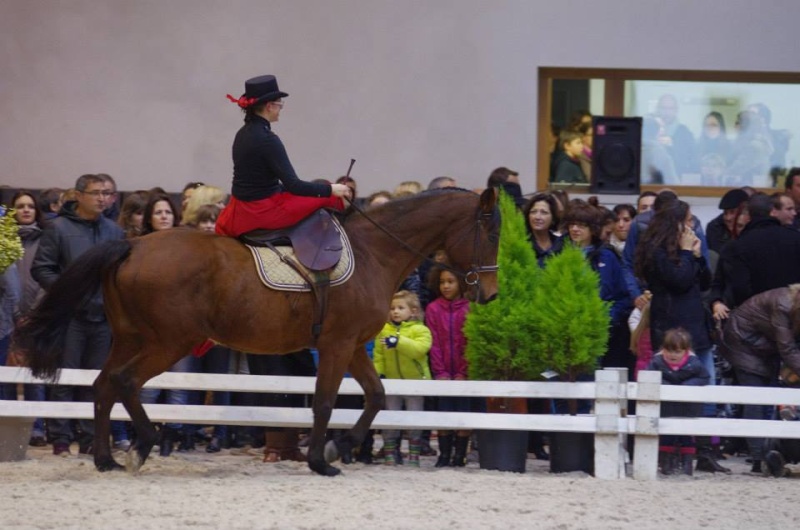 Inauguration du Pôle Equestre de Nancy Brabois ! 10354810