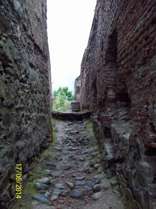 =Cetatea  Poenari,-2014.... 100_8924