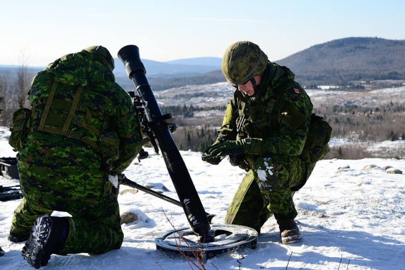 Armée canadienne/Canadian Armed Forces - Page 20 1420