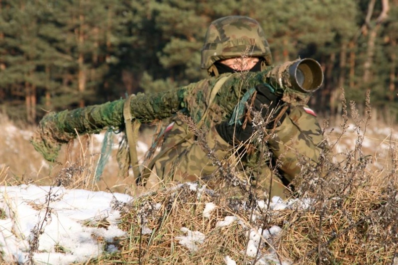 Les Forces Armées Polonaises/Polish Armed Forces - Page 12 1718