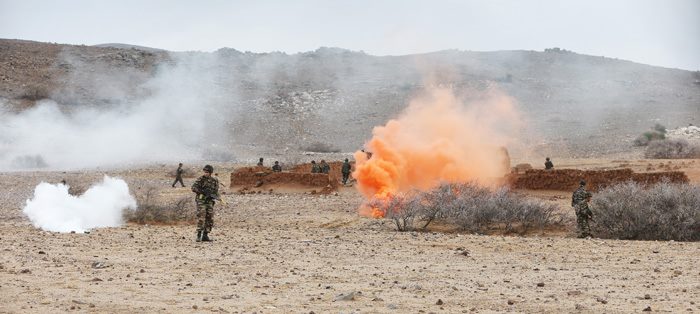 Armée Britannique/British Armed Forces - Page 21 245