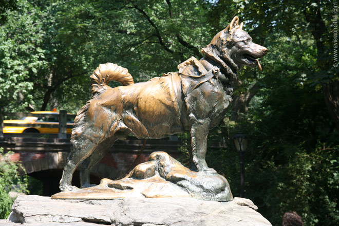 Histoire du chien BALTO  Statue10