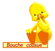 Coucou les filles D3995010