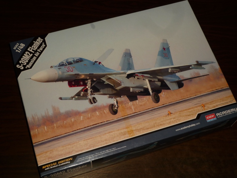 Su-30 M2 "Flanker" (Academy) P1090316