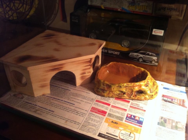 voila mon terra 10801910