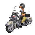 JOURNEES ESSAIS HARLEY- DAVIDSON Toulon LES 28 & 29 NOVEMBRE 2014!!! Bv000010