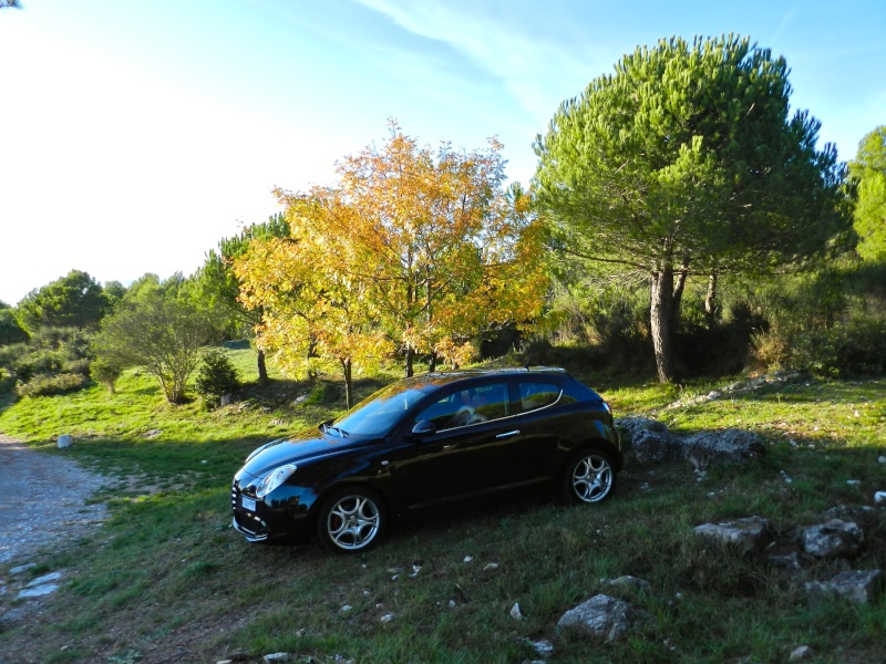 Concours photo n°37 Novembre 2014: "vos Alfa et les couleurs d'automne" Dscn6922