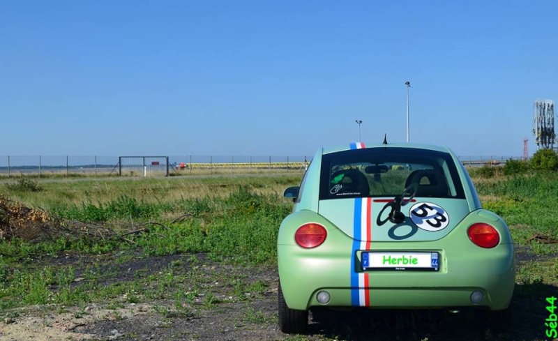 New Beetle vert Herbie + Windupkey + Vidéo Dsc11114