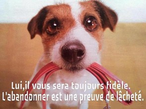 Textes et affiches NON AUX ABANDONS - Page 3 Abando11