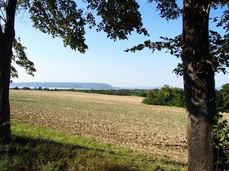 A daytrip in Southern Hungary P7190039