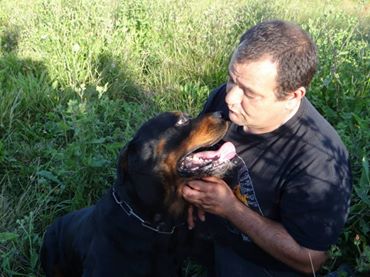 Rottweiler - kenzo , rottweiler male de 5 ans a adopter (72) ( en cour d'adoption) 53532110