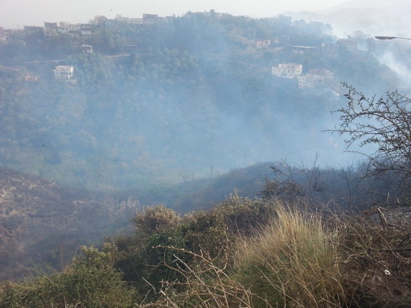 Aokas: Quand une ville est consumée par le feu (incendie du 28 et 29/11/2014) - Page 3 10411810