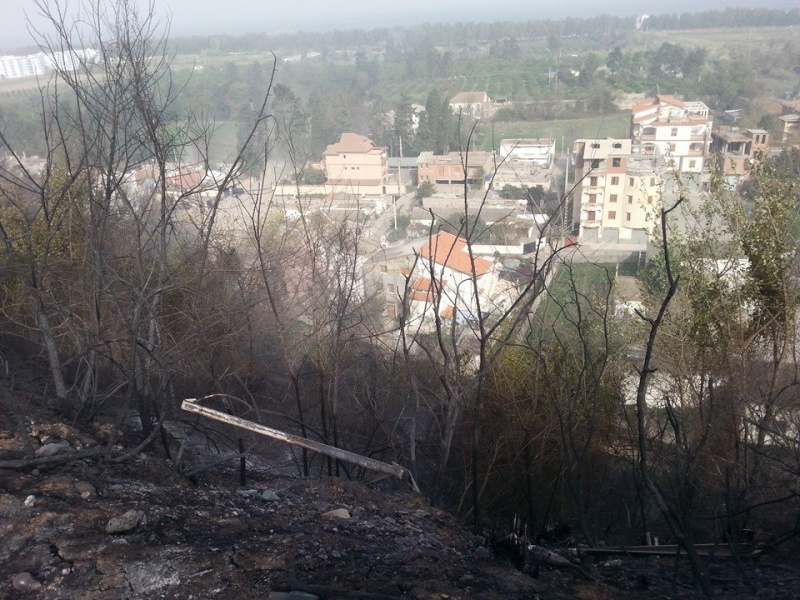 Aokas: Quand une ville est consumée par le feu (incendie du 28 et 29/11/2014) - Page 3 10423710