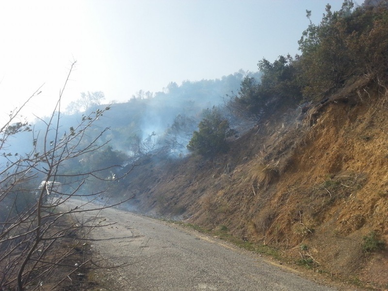 Aokas: Quand une ville est consumée par le feu (incendie du 28 et 29/11/2014) - Page 4 10628510