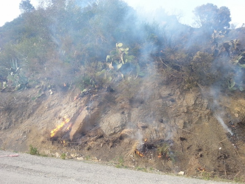 Aokas: Quand une ville est consumée par le feu (incendie du 28 et 29/11/2014) 10653710