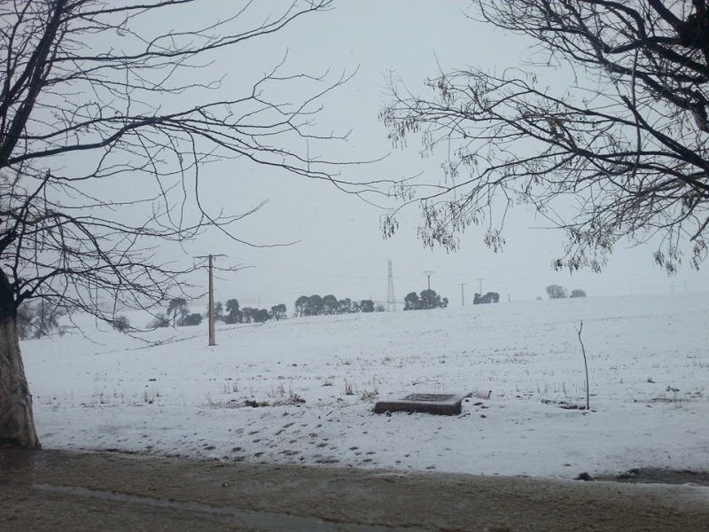 Sétif sous la neige (09/12/2014) 1310