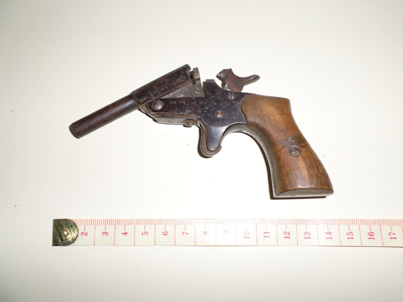identification pistolet Sam_0112