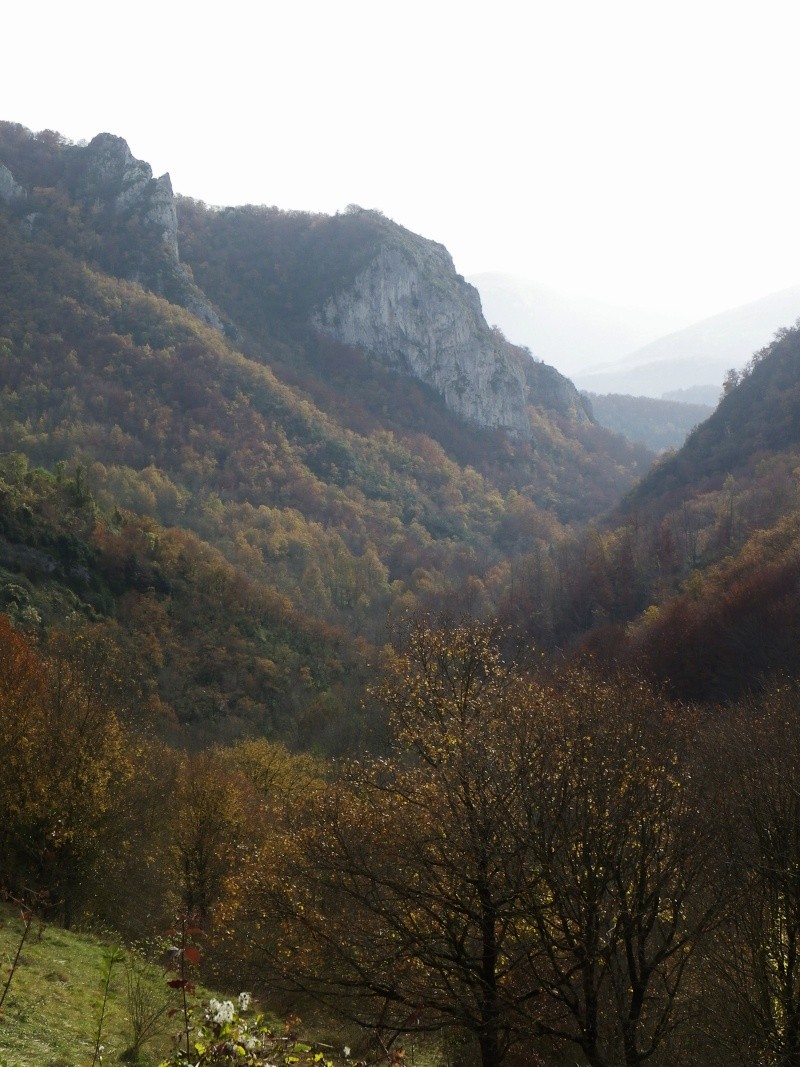 CR retour de jumelage Imgp0218