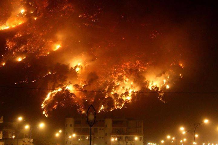 Aokas: Près de 800 hectares, entre la broussaille, les essences forestières et les arbres fruitiers, ont été dévastés par la trentaine d’incendies 119